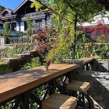 Fundemia Gorna Breznitsa